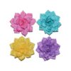 Soft Pet Grooming Collars with Multi-Colored Flowers Attachments