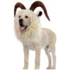 Soft Plush Pet Wig Costume for Dog Goat, Halloween Christmas Gift