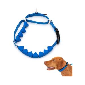 Soft Point Training Collar Teaches Better Leash Manners and Stop Pulling for Dogs