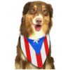 Soft Polyester Dog Bandanas for Small Medium Large Dogs with Adjustable Neck Size