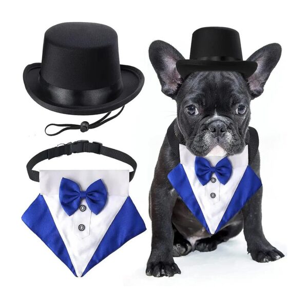 Soft Polyester Pet Top Hat and Breathable Cotton Bandana Collar Set for Dogs and Cats