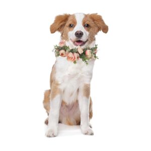 Soft Polyester Pink Floral Wreath Dog Collar for Large Female Pet Party Decoration