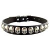 Soft Pu Leather Dog Collar with Fashionable Skull Studded Pattern for Small Medium Dogs