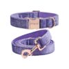 Soft Purple Velvet Dog Collar and Leash for Small Dogs