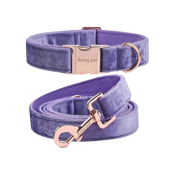 Soft Purple Velvet Dog Collar and Leash for Small Dogs