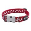 Soft Red Webbed Dog Collar with White Dots and Buckle Clip