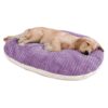 Soft Removable Cover, Comfortable Sleeping for Medium Dogs