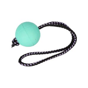 Soft Rubber and Rope Dog Ball for Dog Training and Exercise