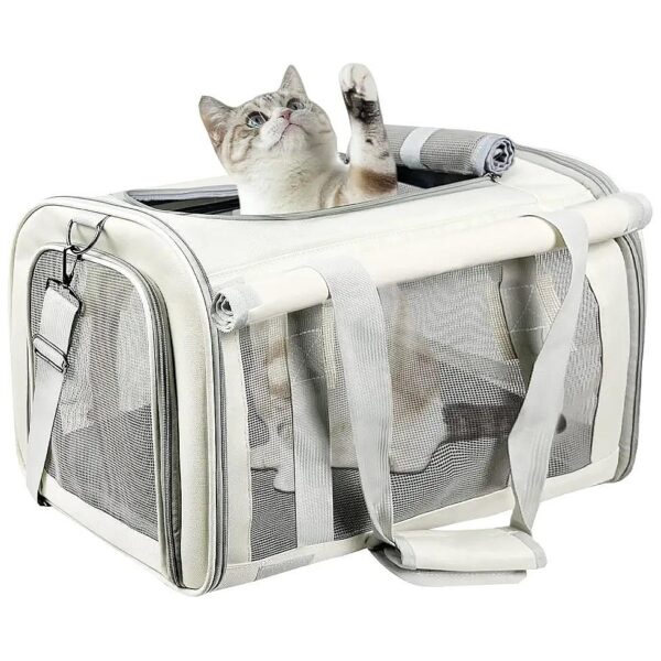 Soft Side Cat Carrier for Medium and Big Cats Under 25 lbs