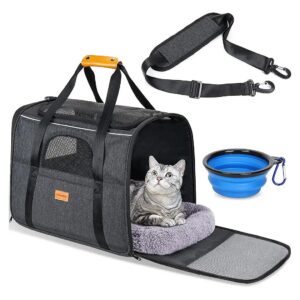 Soft Sided Cat Carrier for Big Medium Cats and Puppies Up to 15lbs