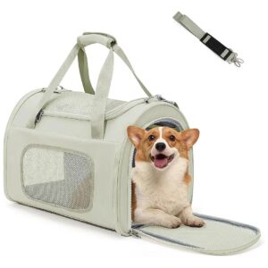 Soft Sided Pet Carrier for Small Dogs up to 20lbs with Airline Approval