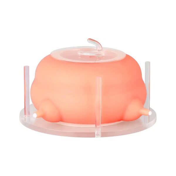 Soft Silicone Puppy Nursing Station for Kittens and Puppies with 4 Nipples