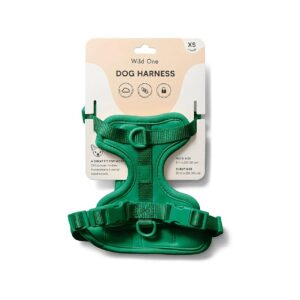 Soft Stretchy Green XS Buckle Harness for Small Dogs with Adjustable Neck