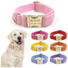 Soft Stripe Velvet Dog Collars with Custom En