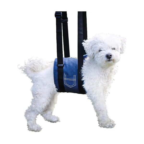 Soft Support Sling for Dogs with Leg Weakness or Injury Blue Denim Medium Large