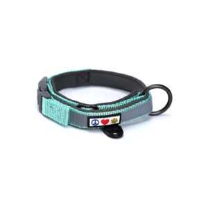 Soft Teal Neoprene Dog Collar with Reflective Band for Small to Large Breeds