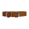 Soft Tooled Leather Dog Collar with Floral Pattern for Pet Owners