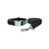 Soft Velvet Dog Collar and Leash Set with Adjustable Collar Size