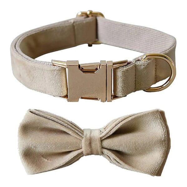 Soft Velvet Dog Collar with Bowtie and Buckle for Medium Size Dogs