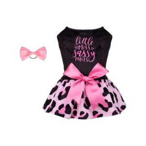 Soft Velvet Leopard Print Dog Dress with Bow Hair Rope for Small Dogs Girl Puppy