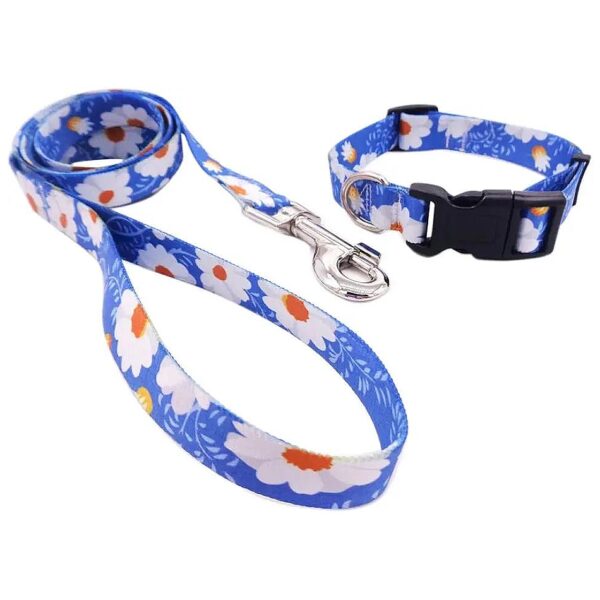 Soft Webbing Dog Collar and Leash with Easy Buckle Adjustment for Small Medium Large Dogs