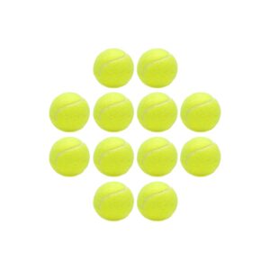 Soft Yellow Tennis Balls for Dogs, 12 Pack, 5 Inch Durable Exercise Pet Toys