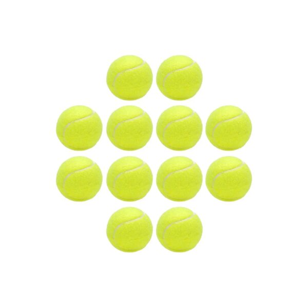 Soft Yellow Tennis Balls for Dogs, 12 Pack, 5 Inch Durable Exercise Pet Toys