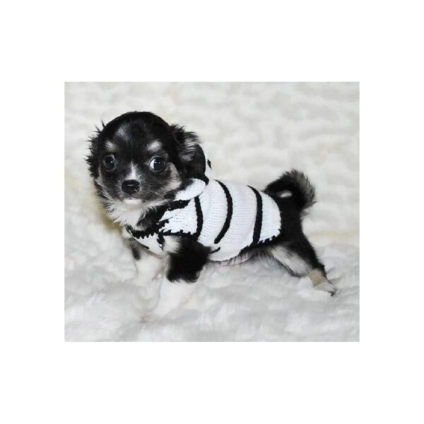 Soft Zebra Dog Sweater Costume for Small Yorkie Chihuahua Puppy