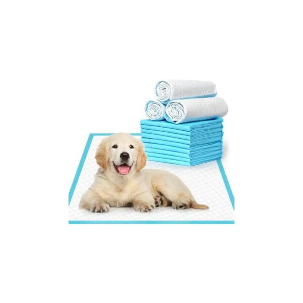 Soft and Absorbent 24" x 24" Large Dog Puppy Training Pads for Cats and Small Animals