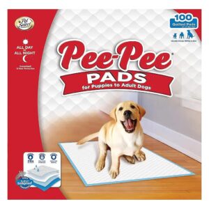 Soft and Absorbent Dog Pee Pads for Dogs and Puppies - 100 Count, 22" x 22