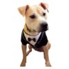 Soft and Adjustable 100% Cotton Dog Tuxedo with Medium Size Chest and Neck