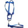 Soft and Adjustable Bird Harness Leash for Parakeet and Cockatiel Outdoor Fun