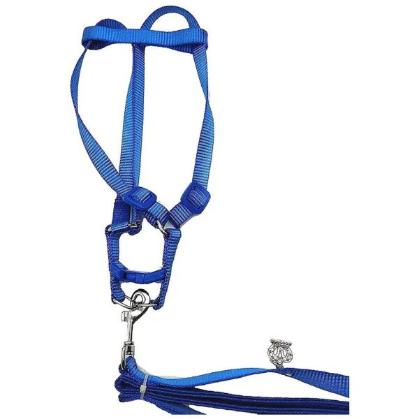 Soft and Adjustable Bird Harness Leash for Parakeet and Cockatiel Outdoor Fun