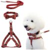 Soft and Adjustable Dog Collar and Halter Harness for Small and Medium sized pets