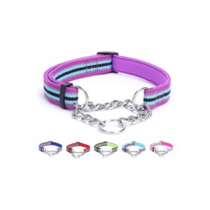 Soft and Adjustable Dog Collar with Reflective Thread and Neoprene Padded for Comfort