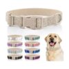 Soft and Breathable Dog Collar for Small to Large Breed Dogs in Khaki Color