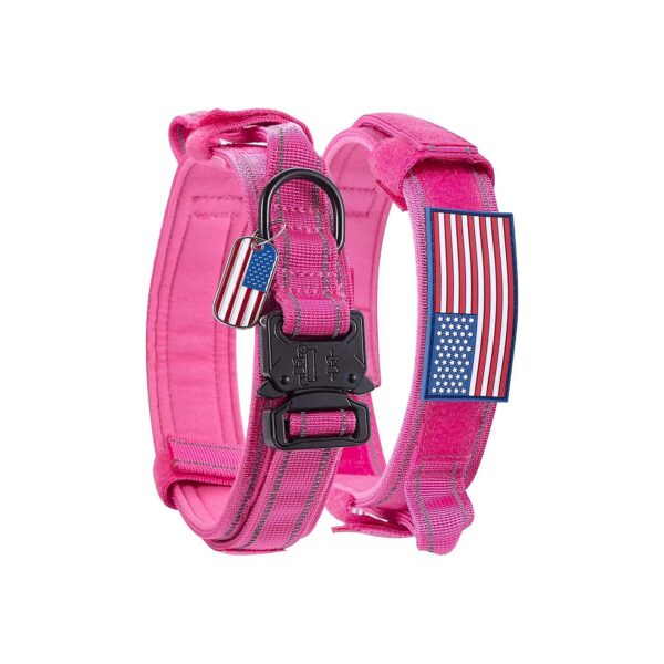 Soft and Breathable Pink Nylon Dog Collar with Double Security Buckle and Flag Tag