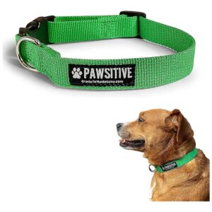 Soft and Comfortable Bamboo Dog Collar for Small Medium and Large Dogs