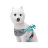 Soft and Comfortable Dog Training Harness with Reflective Accents for Large Breeds