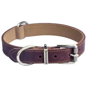 Soft and Comfortable Leather Martingale Dog Collar with Brass Buckle for Small to XL Dogs