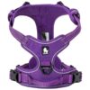 Soft and Comfortable No-Pull Dog Harness with Adjustable Chest and Belly Straps