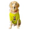 Soft and Comfortable Yellow Dog T-Shirt for Full Grown Desi Stray and Doberman Breeds