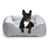 Soft and Comfy Small Dog Bed for Small Dogs and Cats with Anti-Slip Bottom