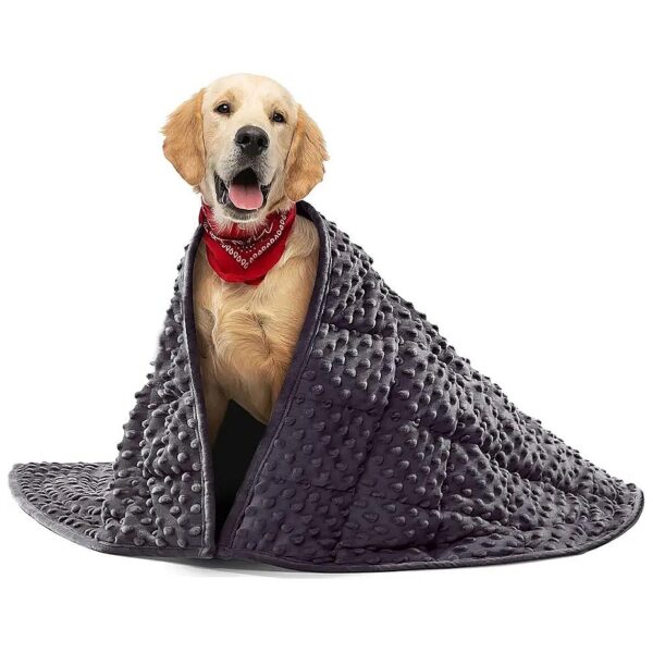 Soft and Cozy 6lb Weighted Blanket for Medium Dogs Durability and Machine Washable