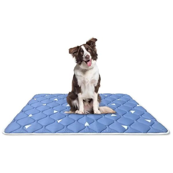 Soft and Cozy Dog Bed Mat for Small Large Medium Dogs with Cute Prints and Anti-Slip