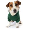 Soft and Cozy Dog Hoodie with Reinforced Elastic Waistband and Back Pocket