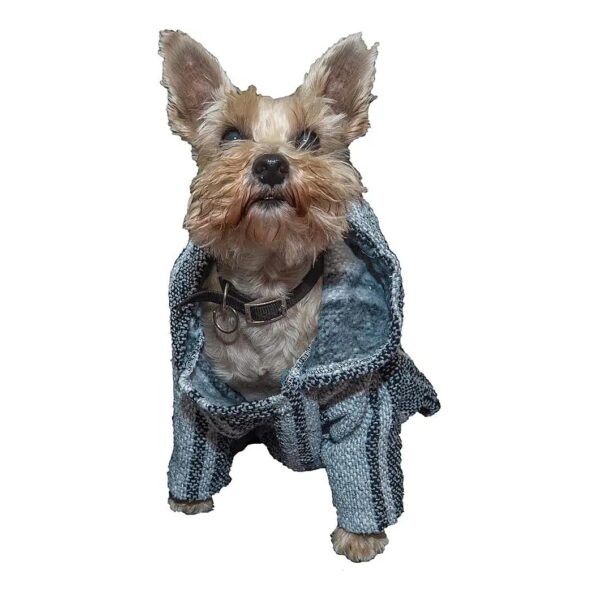 Soft and Cozy Gray Dog Poncho Sweater with Recycled Fabric Made in Mexico