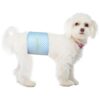 Soft and Cozy Male Dog Diapers for Male Dogs in S Size with Wetness Indicator