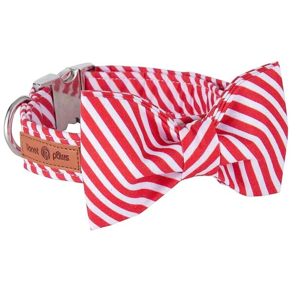 Soft and Cozy Red and White Stripe Dog Collar with Metal Buckle and Bowtie for Small Pets