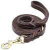 Soft and Durable Brown Leather Dog Leash for Small Medium Large Breed Dogs